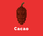 Cacao